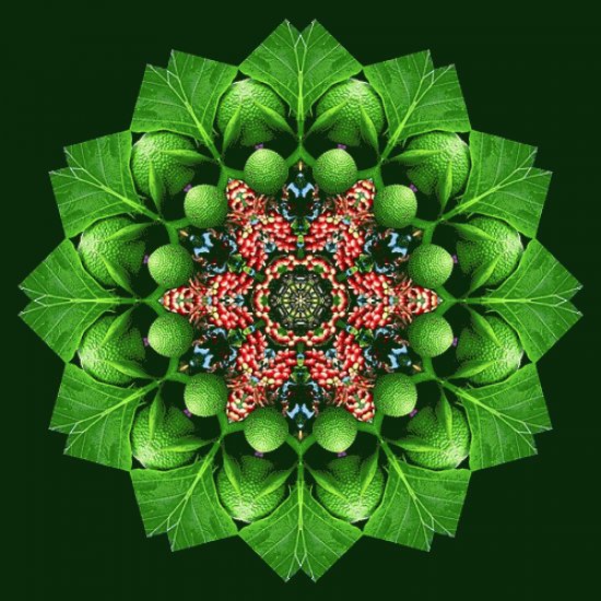 mandala