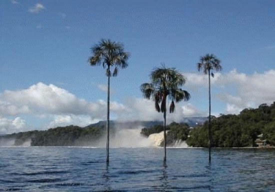 CANAIMA