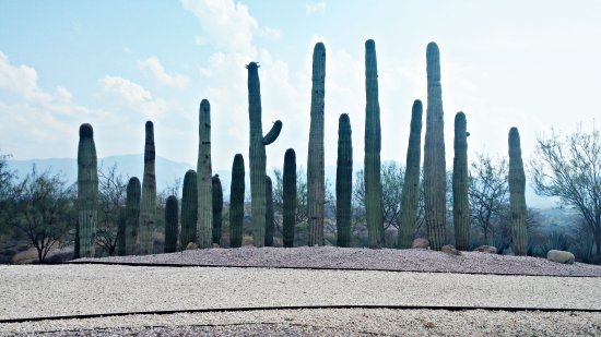 Jardines de MÃ©xico 8