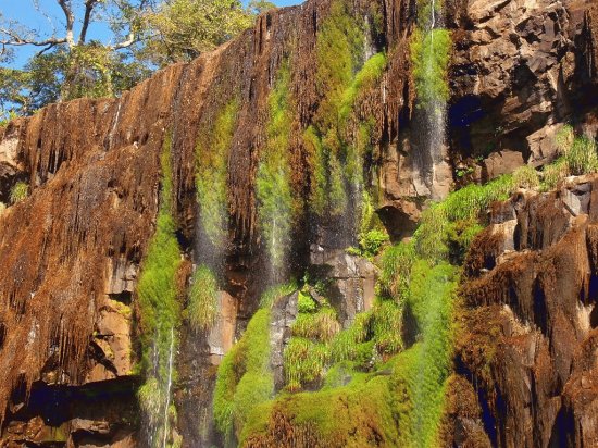 En el PN IguazÃº. Misiones. Argentina