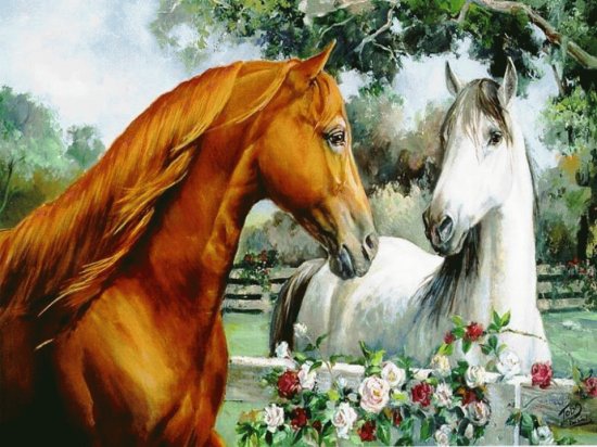 cavalo