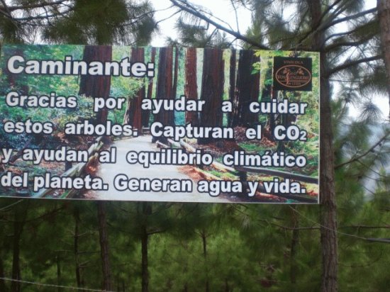 prevencion ecologica