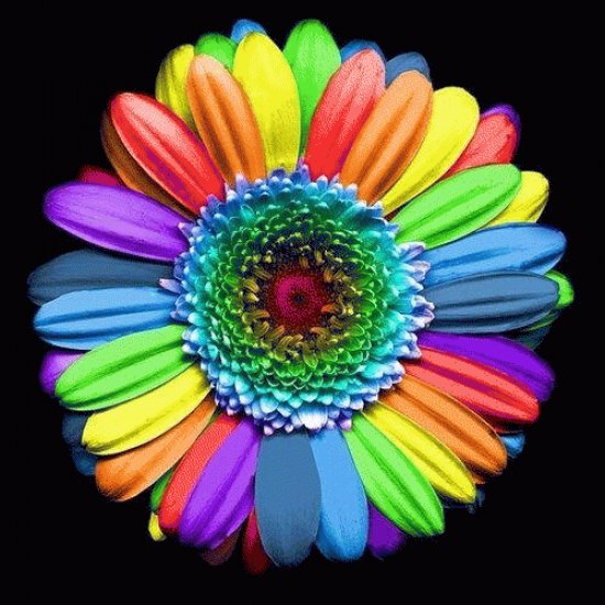 Bunt
