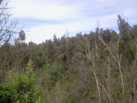 Paisaje
