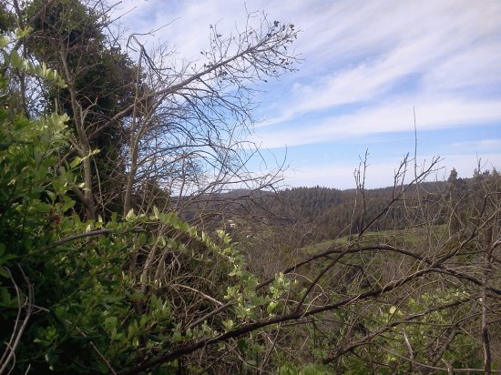 Paisaje