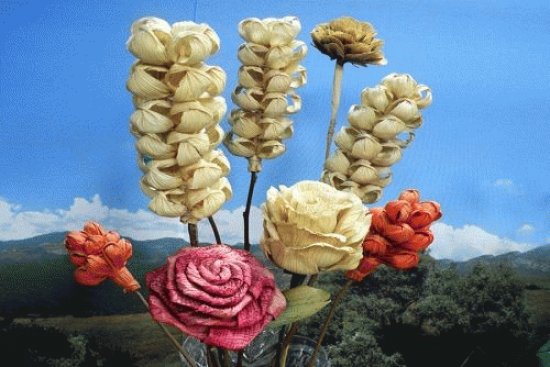 NATUREZA