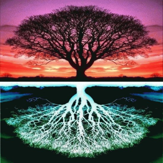 Tree of life