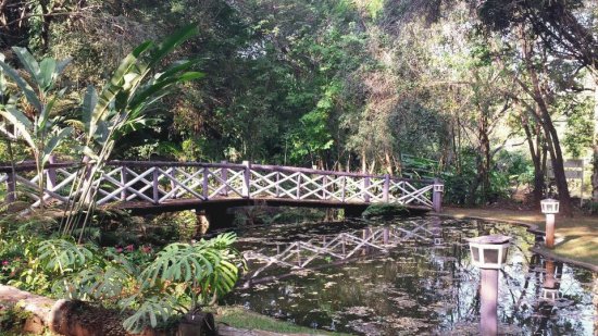 ponte