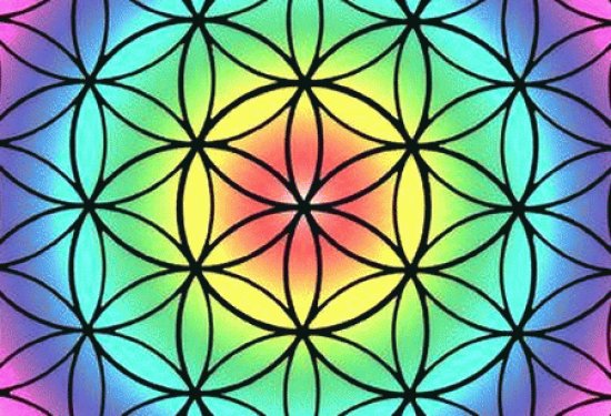 draw