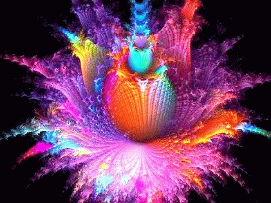 Colors
