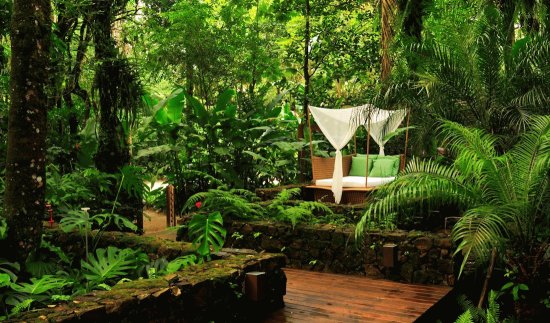 jardÃ­n selvÃ¡tico