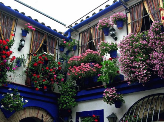 todo paisaje