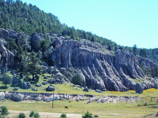Sierra Tarahumara, Chihuahua.