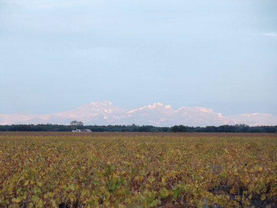 Lirac, Gard, France