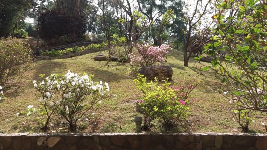 èŠ±åœ’