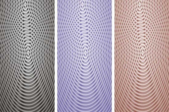 èœ˜è››ç¶²