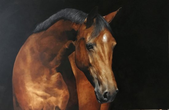 Brown horse