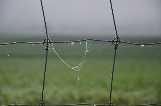 Herbstmorgen