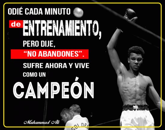CAMPEON
