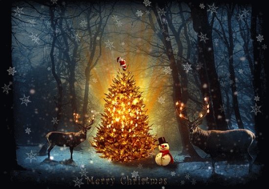 Natal