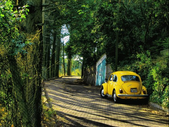 fusca