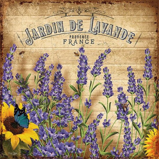 lavanda