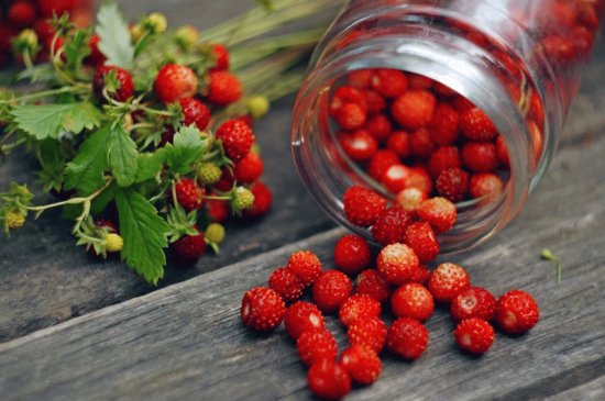 fruits