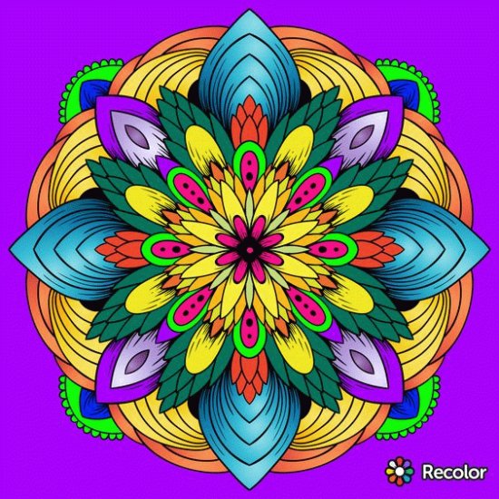 All Colors