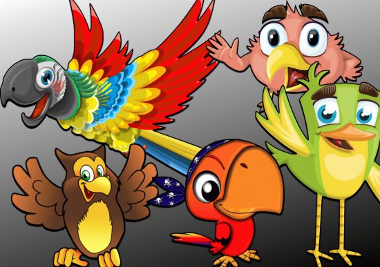 Oiseaux