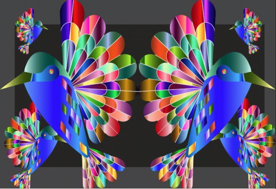 Oiseaux