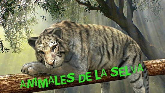 animales de la selva