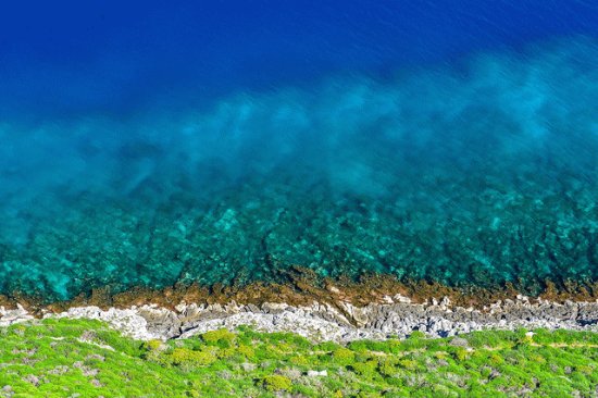 sea