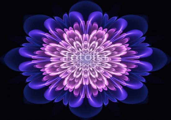 2098