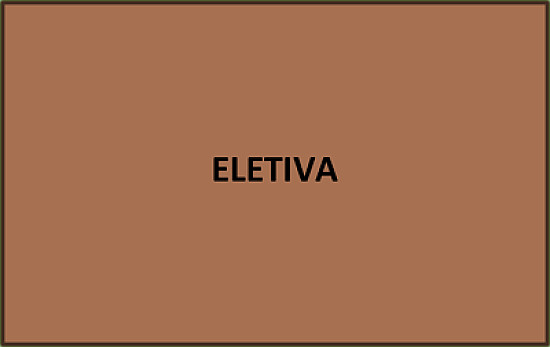 ELETIVA 4