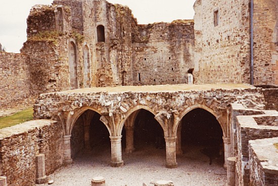 Ruines Ã  Briquebec