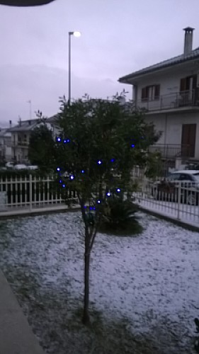 giardino