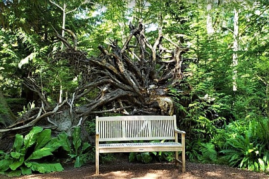 park bench