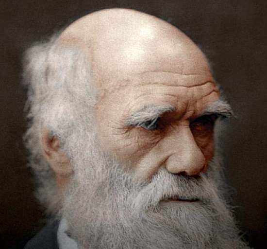Darwin