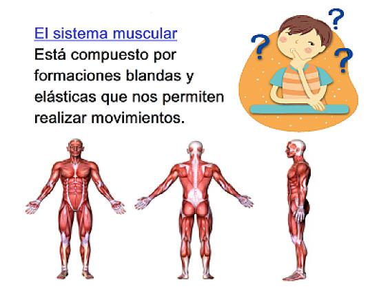 Rompecabezas NÂ° 1