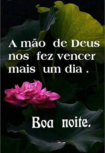 Boa Noite 3