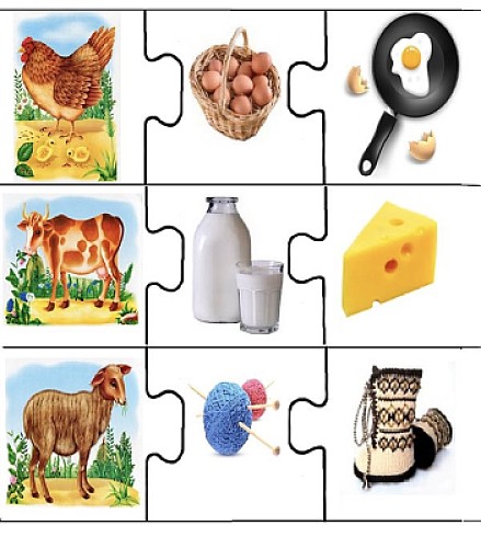 ×—×™×•×ª ×ž×©×§