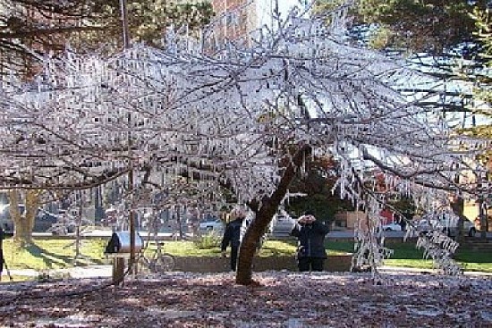 Sao Joaquim sc