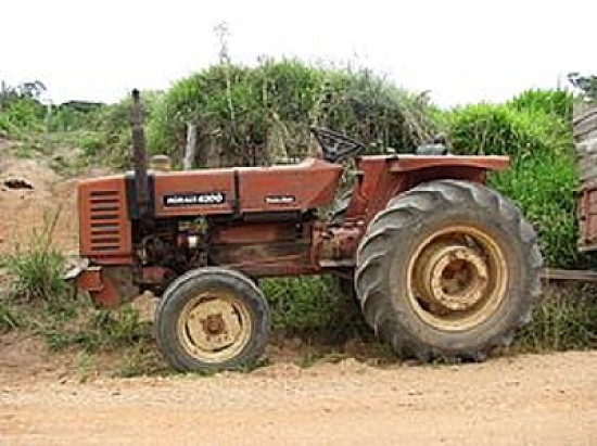 Foto