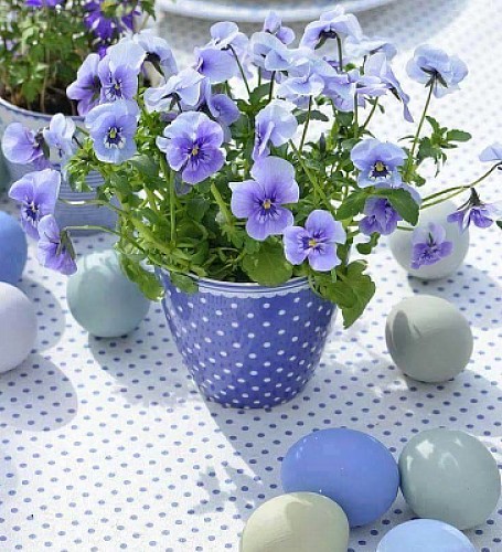 flores