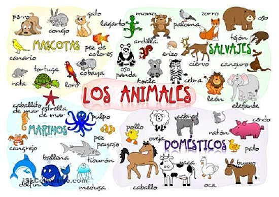 CLASES DE ANIMALES