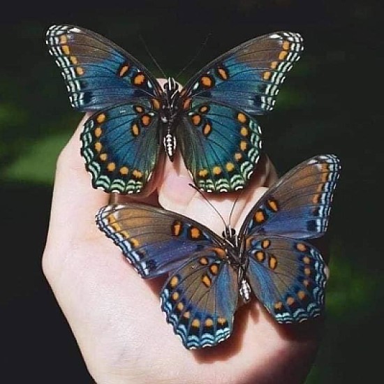 natural
