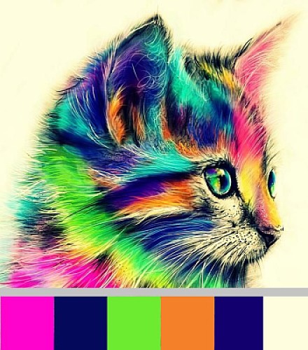 Gato Com Paleta