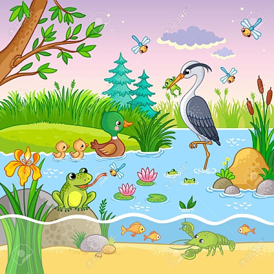 NATURALEZA