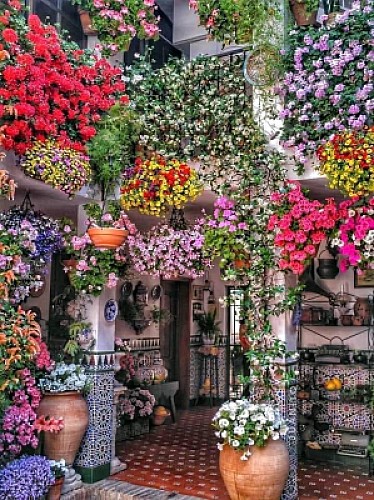 casa jardin