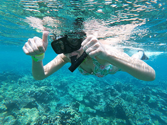 snorkel2